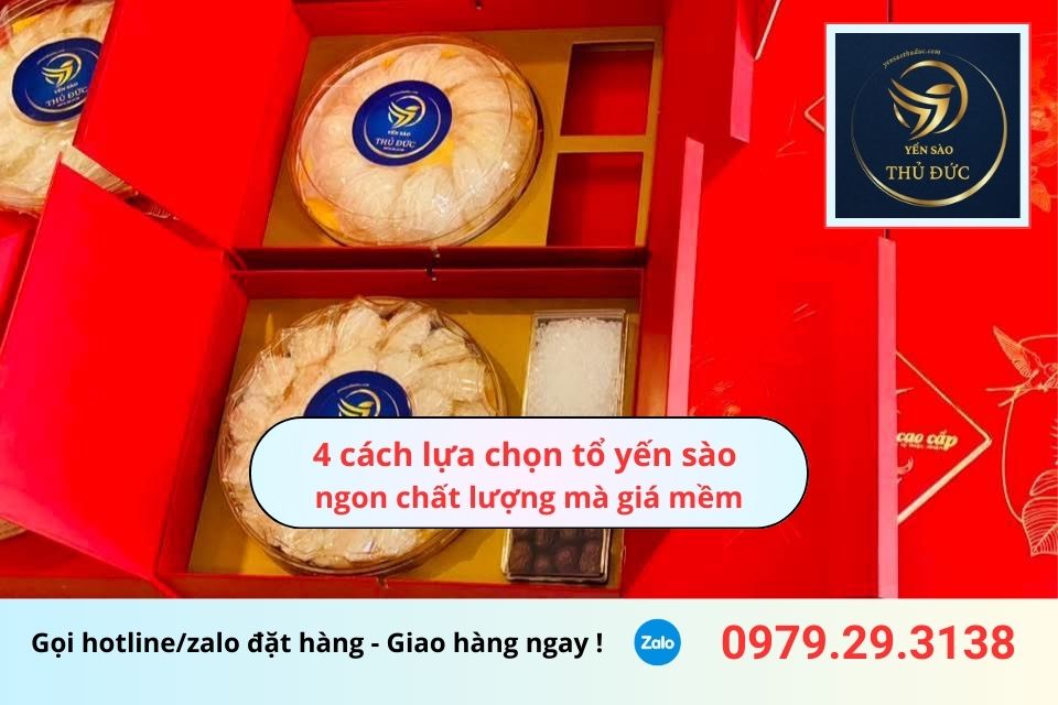 4 cách lựa chọn tổ yến sào ngon chất lượng mà giá mềm