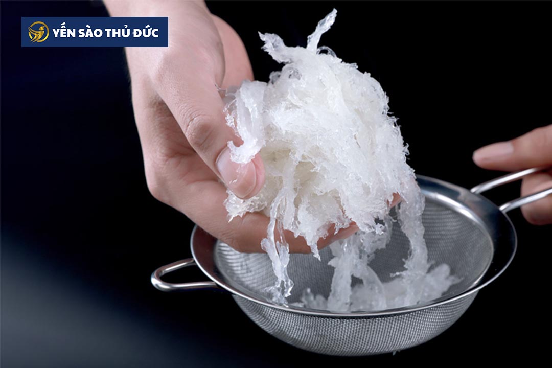 Tìm hiểu thêm về cách chưng yến để tự làm cho người thân tại nhà