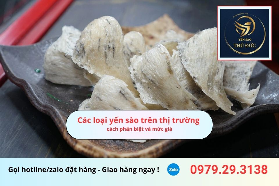 Các loại yến sào trên thị trường, cách phân biệt và mức giá