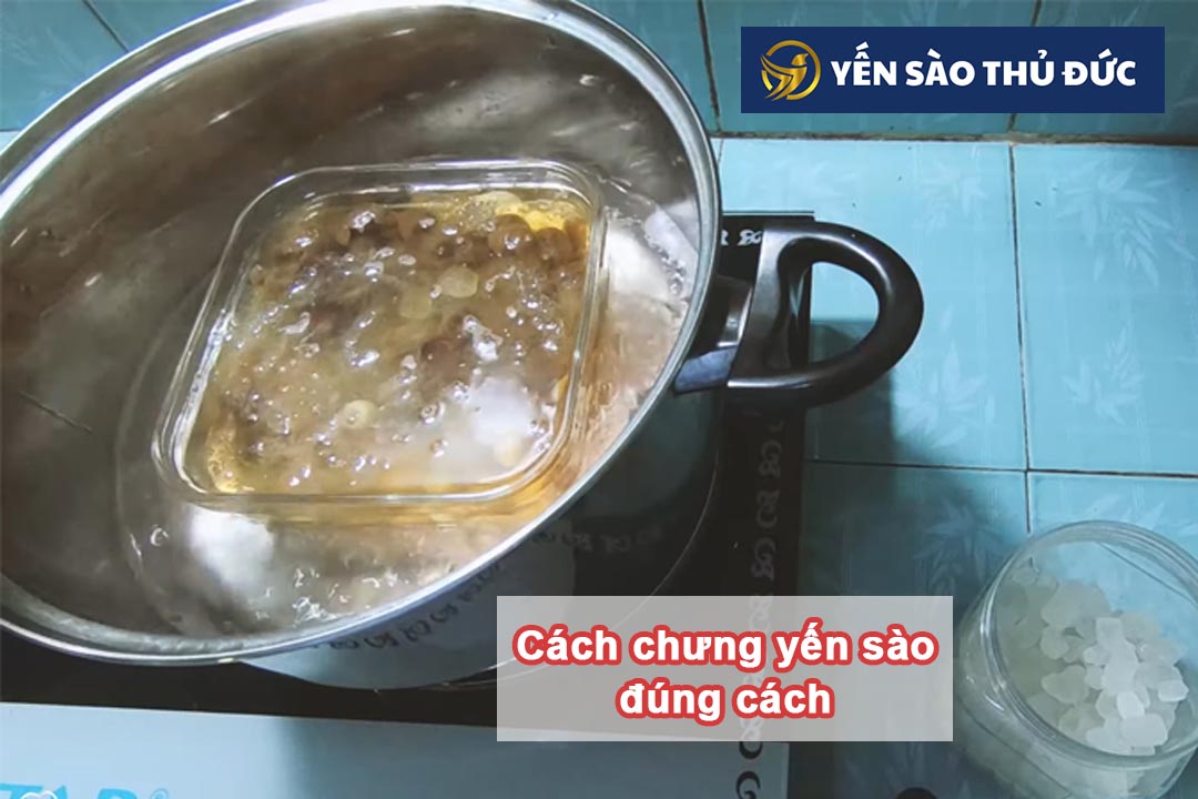 Hướng dẫn cách chưng yến sào cho trẻ em đúng cách nhất