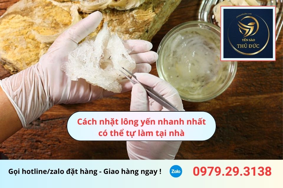 Cách nhặt lông yến nhanh nhất có thể tự làm tại nhà