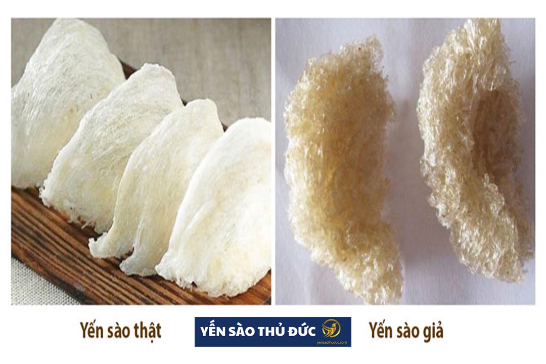 Cách phân biệt tổ yến thật giả để tránh bị lừa. Tiền mất tật mang cho bọn lừa đảo