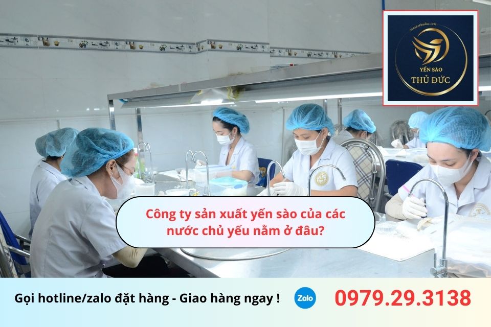 Công ty sản xuất yến sào của các nước chủ yếu nằm ở đâu?