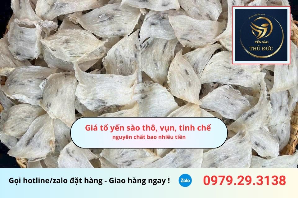 Giá tổ yến sào thô, vụn, tinh chế nguyên chất bao nhiêu tiền