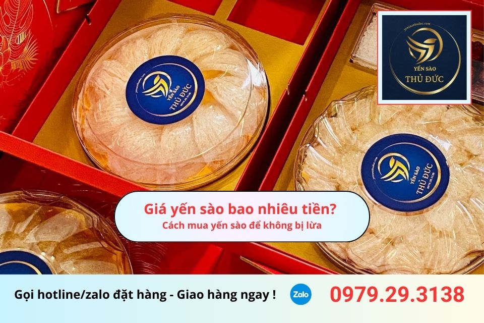 Giá yến sào bao nhiêu tiền? Cách mua để không bị lừa