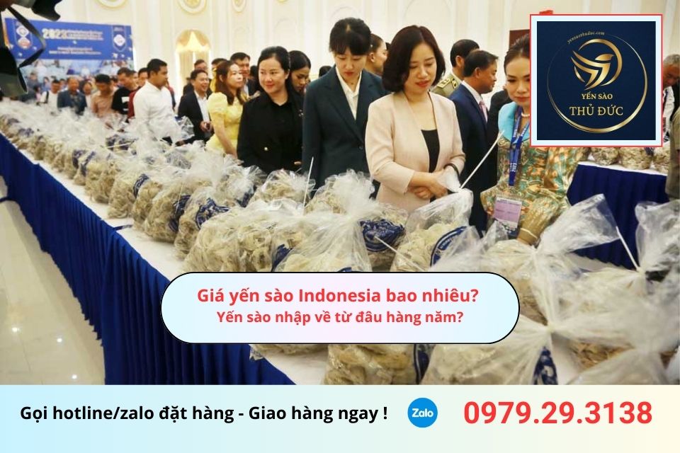 Giá yến sào Indonesia bao nhiêu và yến sào nhập về từ đâu hàng năm?