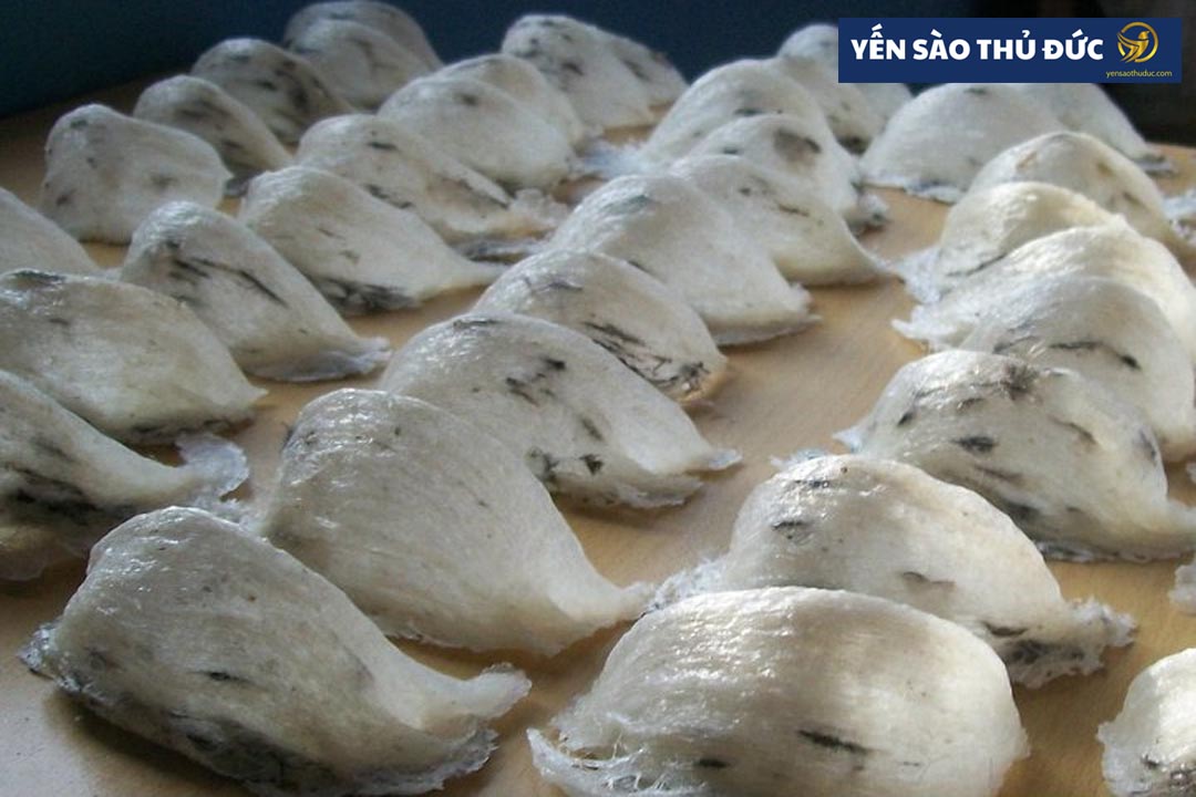Các loại yến sào thô bao nhiêu tiền? Cách lựa chọn tổ yến sào thô ngon bổ rẻ