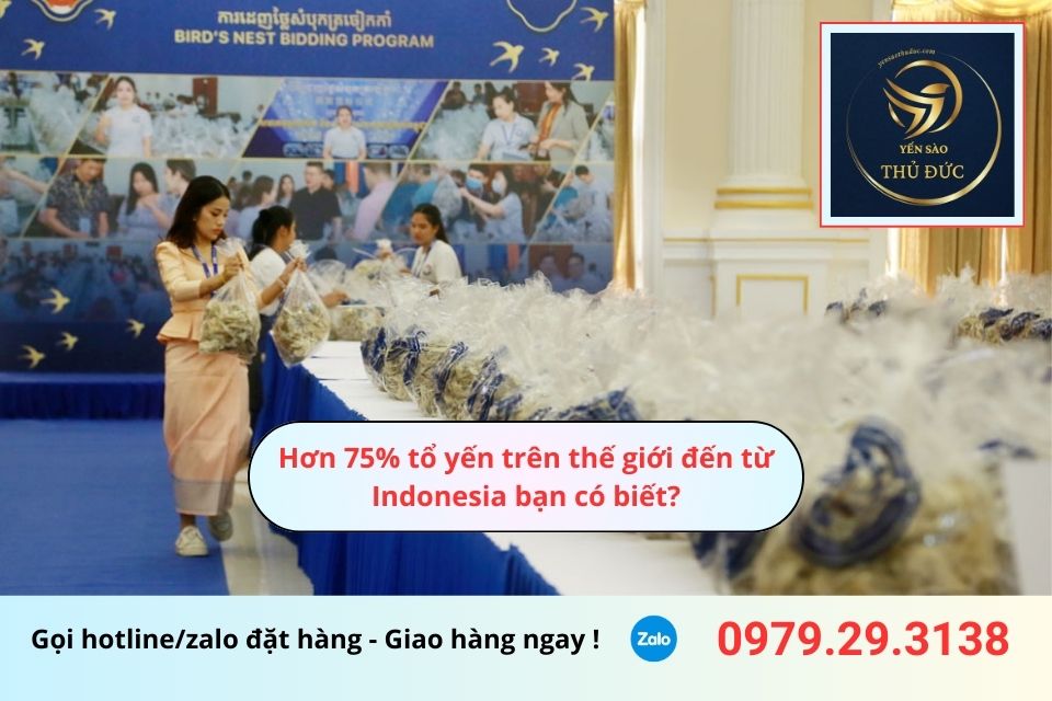 Hơn 75% tổ yến trên thế giới đến từ Indonesia bạn có biết?