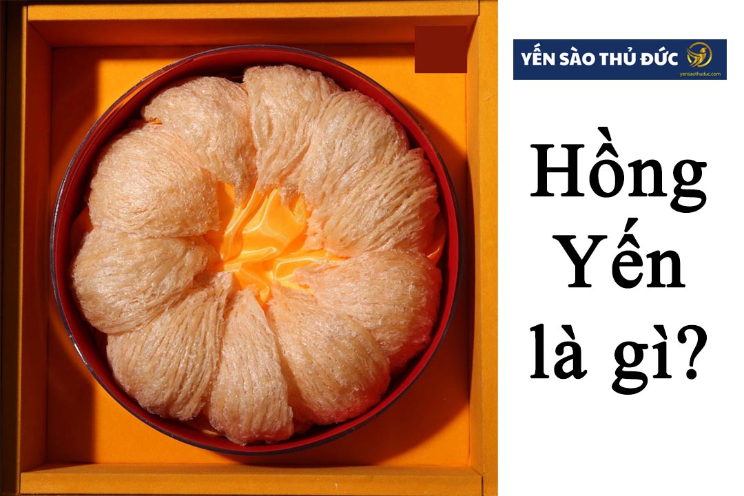 Hồng yến là gì? Tác dụng của hồng yến là gì?