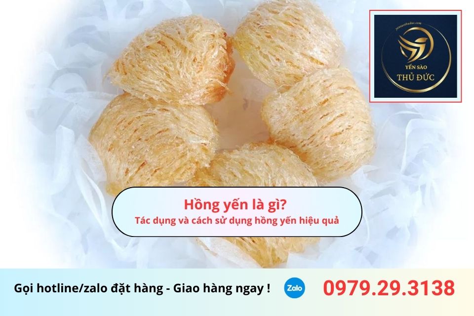 Hồng yến là gì? Tác dụng và cách sử dụng hồng yến hiệu quả