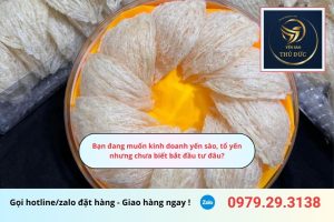 Bạn đang muốn kinh doanh yến sào, tổ yến nhưng chưa biết bắt đầu tư đâu?