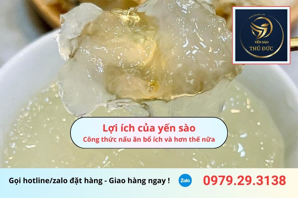 Lợi ích của yến sào: Công thức nấu ăn bổ ích và hơn thế nữa