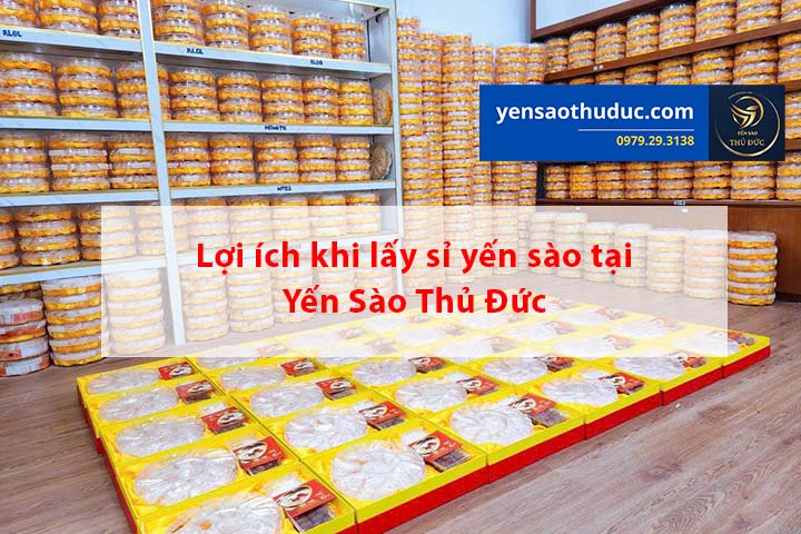 4 Tiêu chí khi kinh doanh yến sào mà người mới cần nắm rõ