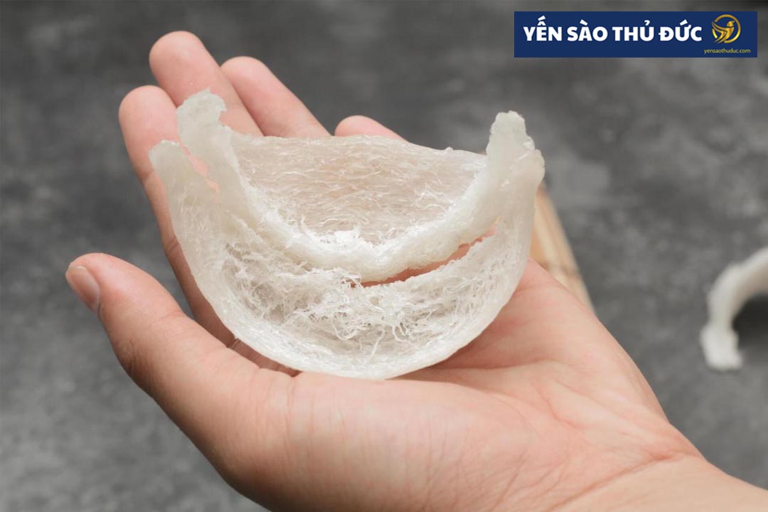 Những lưu ý bạn cần chú ý khi tự nhặt lông yến tại nhà và cách lựa chọn tổ yến ngon đúng cách