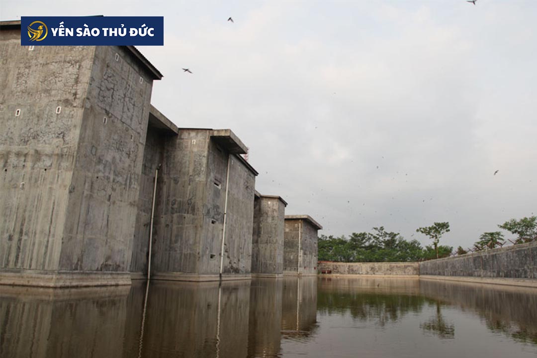 Nhà yến chuyên nghiệp tại Maylaysia. Những Lợi ích tốt nhất từ ​​tổ yến là gì?