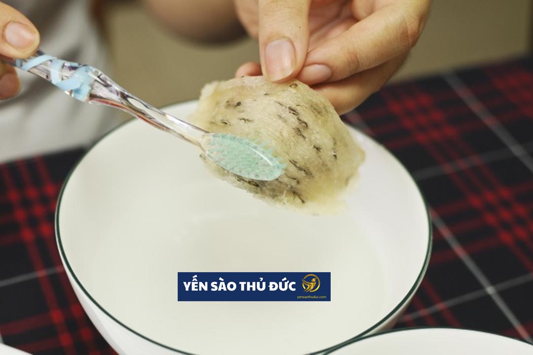 Bí quyết sơ chế tổ yến thô đúng cách