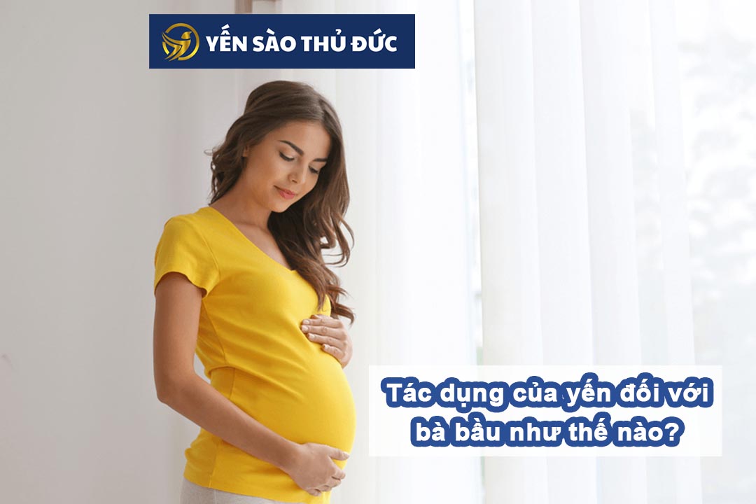 Tác dụng của yến sào cho bà bầu như thế nào?