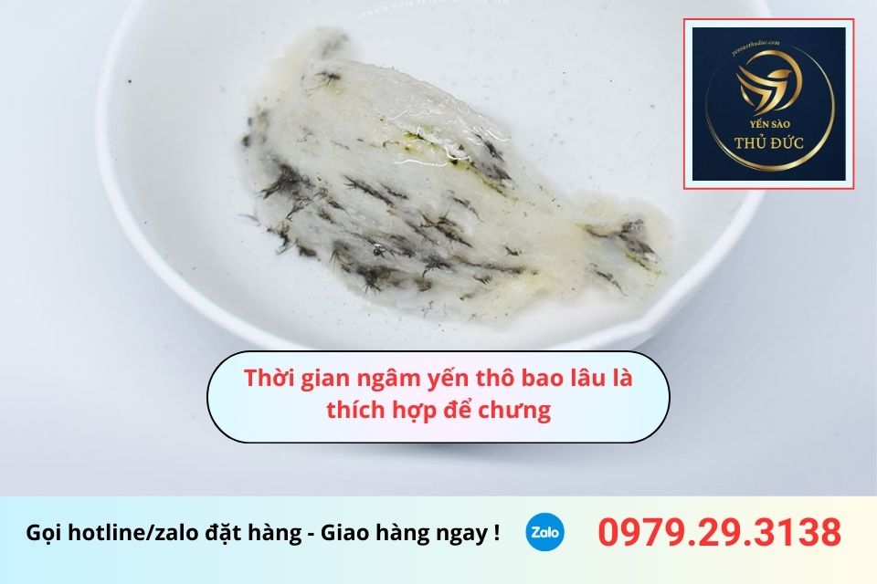 Thời gian ngâm yến thô bao lâu là thích hợp để chưng