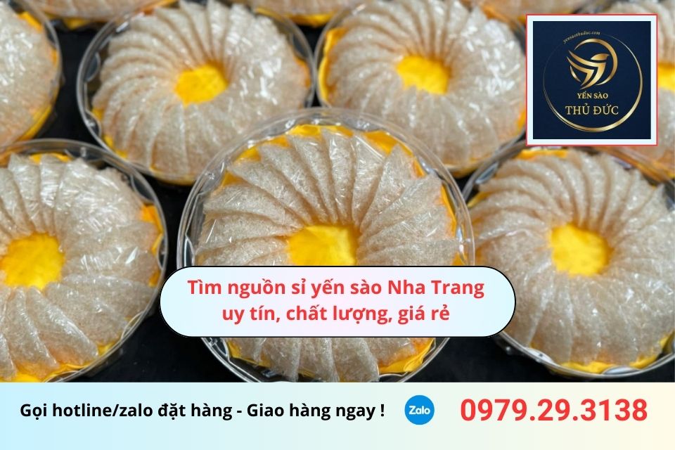 Tìm nguồn sỉ yến sào Nha Trang uy tín, chất lượng, giá rẻ