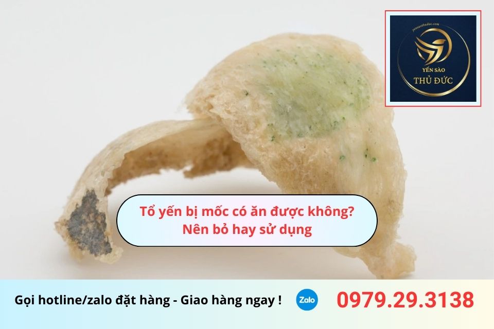Tổ yến bị mốc có ăn được không? Nên bỏ hay sử dụng