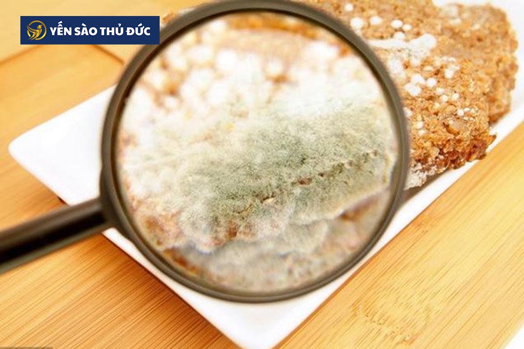 Tổ yến bị mốc có ăn được không? Tìm hiểu tin tức về yến sào tại đây