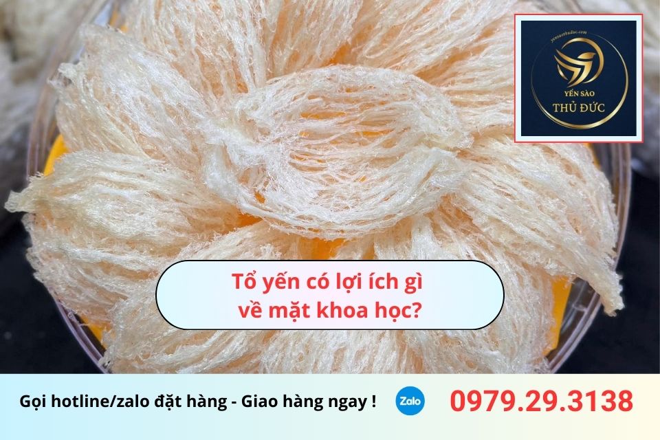 Tổ yến có lợi ích gì về khoa học? Tìm hiểu thêm tin tức về chim yến, tổ yến tại Yến Sào Thủ Đức