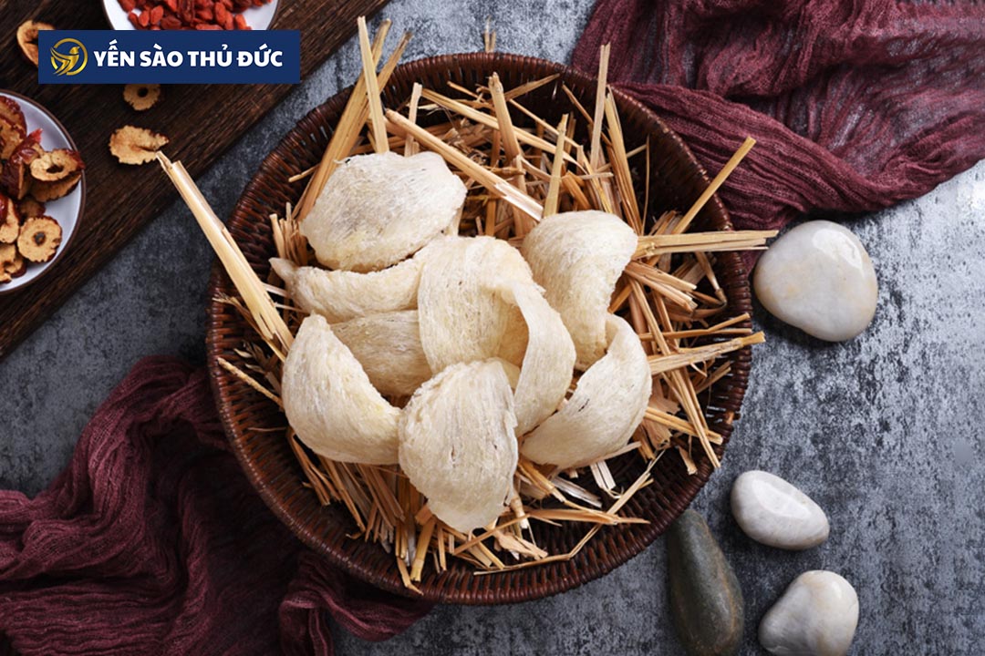 Lợi ích tốt nhất từ ​​tổ yến là gì? Tìm hiểu thêm tin tức về yến chưng sẵn tại Yến Sào Thủ Đức