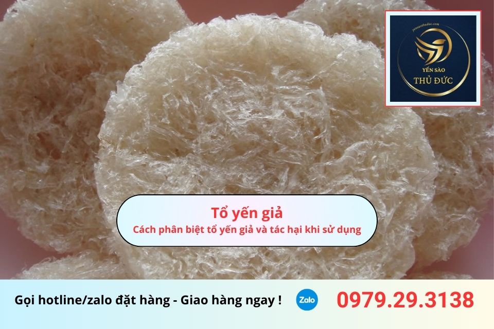 Tổ yến giả: Cách phân biệt tổ yến giả và tác hại khi sử dụng