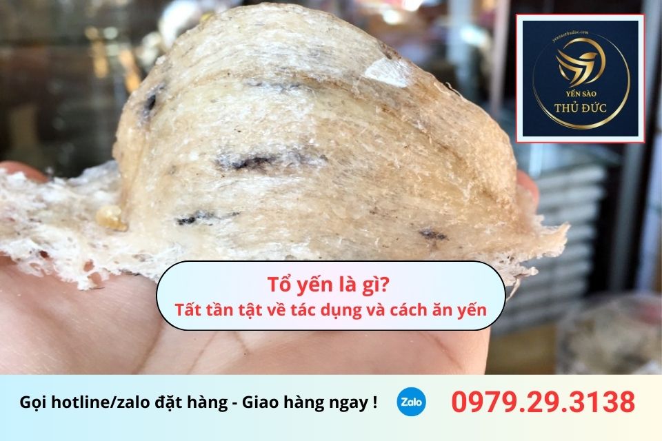 Tổ yến là gì? Tất tần tật về tác dụng và cách ăn yến