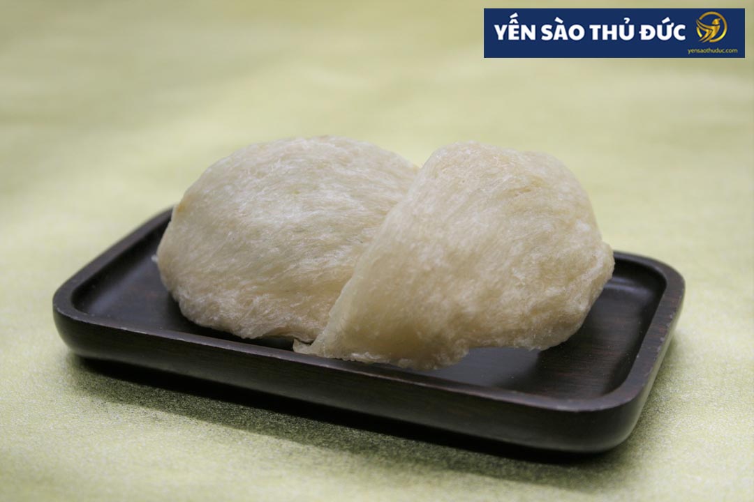 Yến sào là gì? Tác dụng của tổ yến sào thần kỳ đến mức nào?