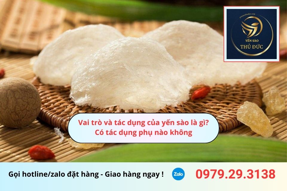 Vai trò và tác dụng của yến sào là gì? Có tác dụng phụ nào không