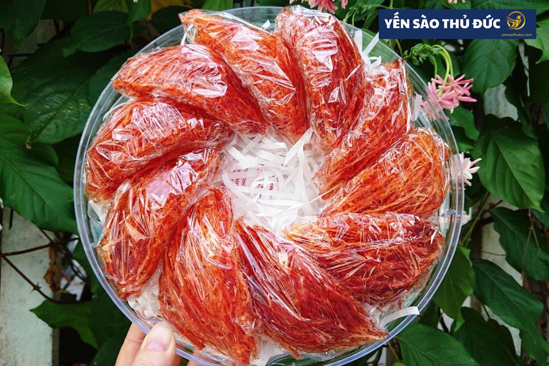 Yến huyết là gì? Tổ yến huyết già bao nhiêu?