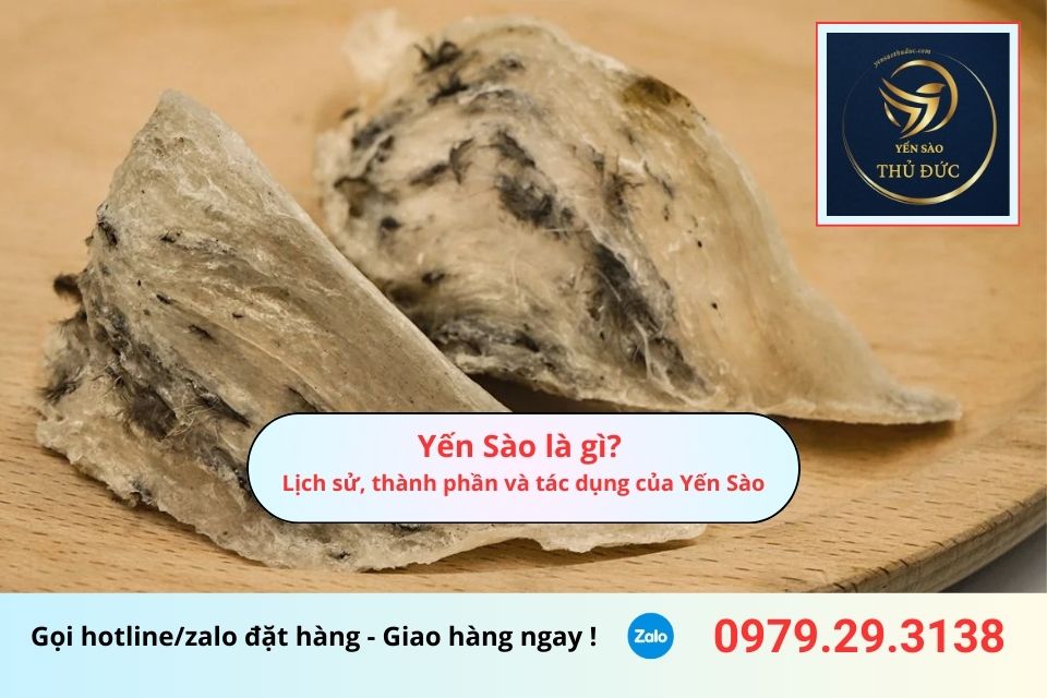 Yến Sào là gì? Lịch sử, thành phần và tác dụng của Yến Sào
