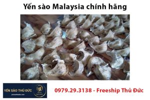 Yến sào Malaysia chính hãng giá bao nhiêu?