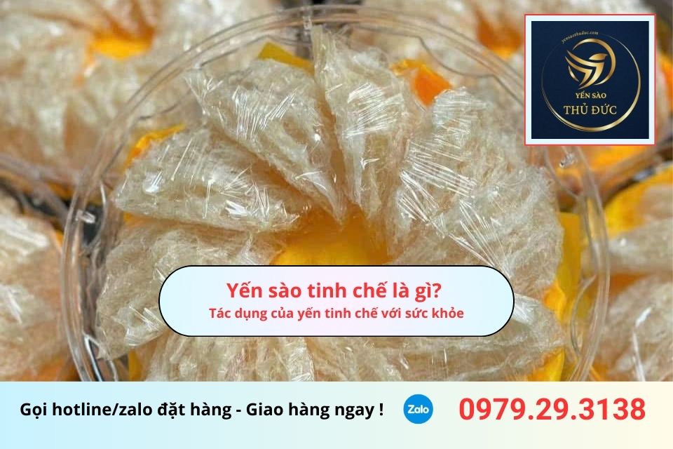 Yến sào tinh chế là gì? Tác dụng của yến tinh chế với sức khỏe