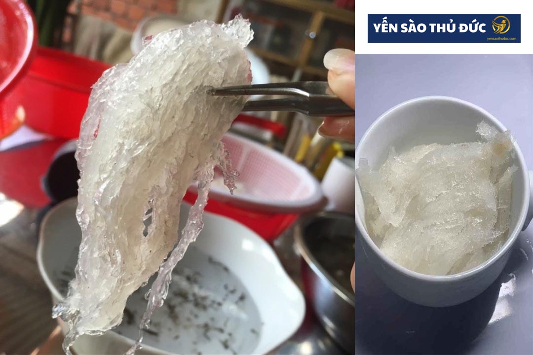 Biết cách phân biệt yến thật giả có con đường hoặc chất độn để tăng trọng lượng, bạn sẽ không bị lừa.