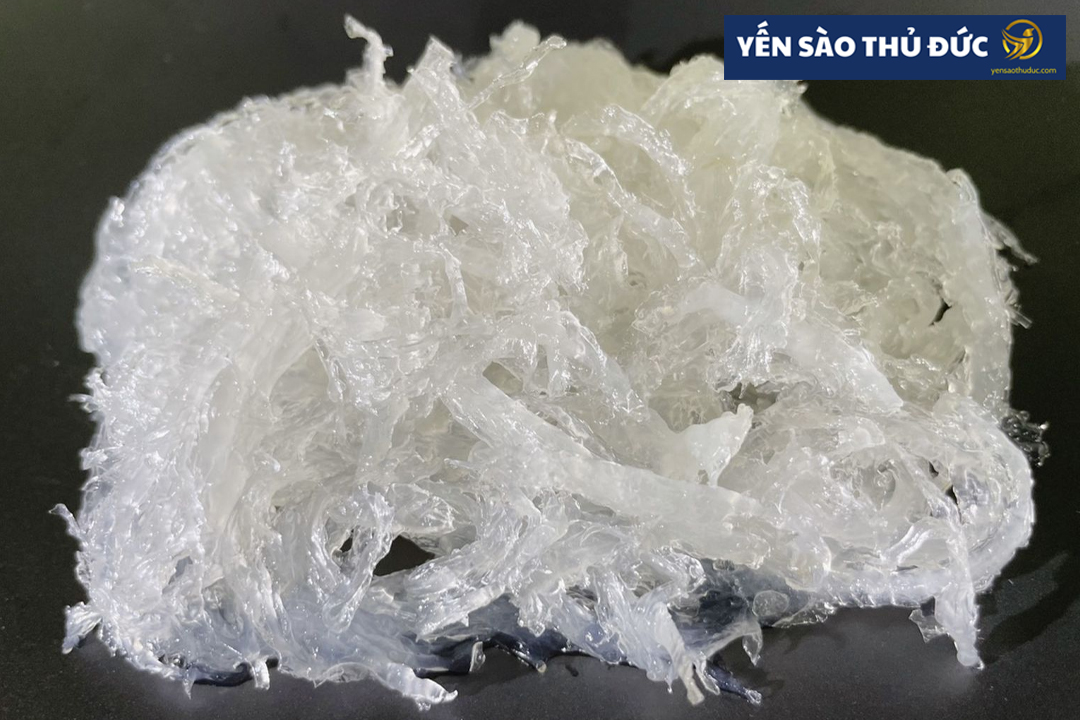 Yến tươi là gì? Cách chưng yến tươi đúng cách ra sao