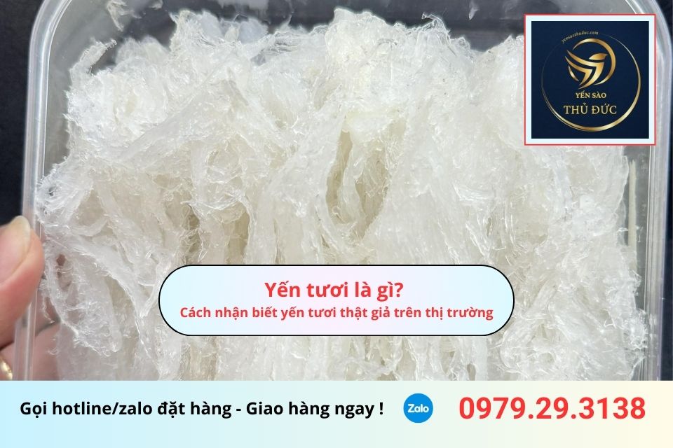 Yến tươi là gì? Cách nhận biết yến tươi thật giả trên thị trường