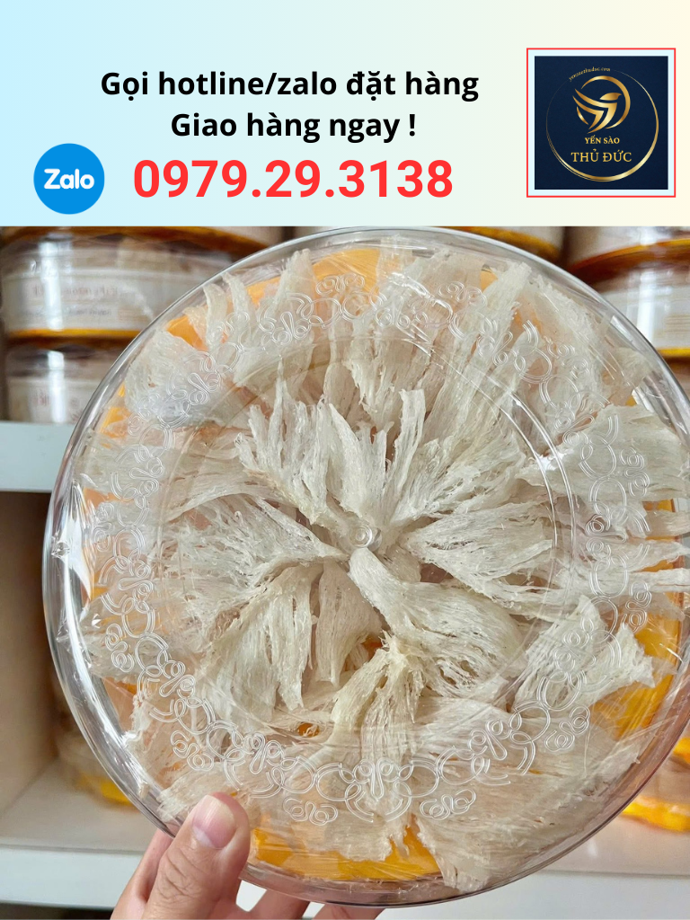 ban-chan-yen-rut-long Bán chân yến rút lông giá rẻ