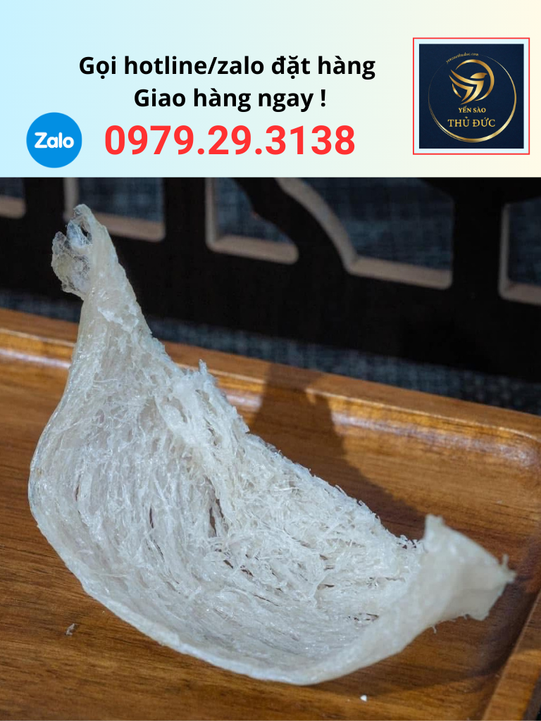 bung-tai-yen-rut-long-loai-1 Bụng tai yến rút lông loại 1