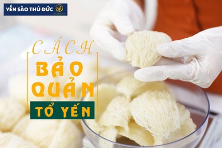 Tổ yến sào thô là gì? Cách bảo quản tổ yến sào không bị hư hỏng