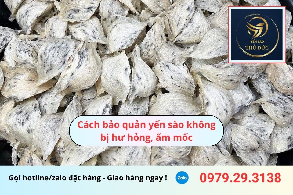 Cách bảo quản yến sào thô không bị hư hỏng, ẩm mốc