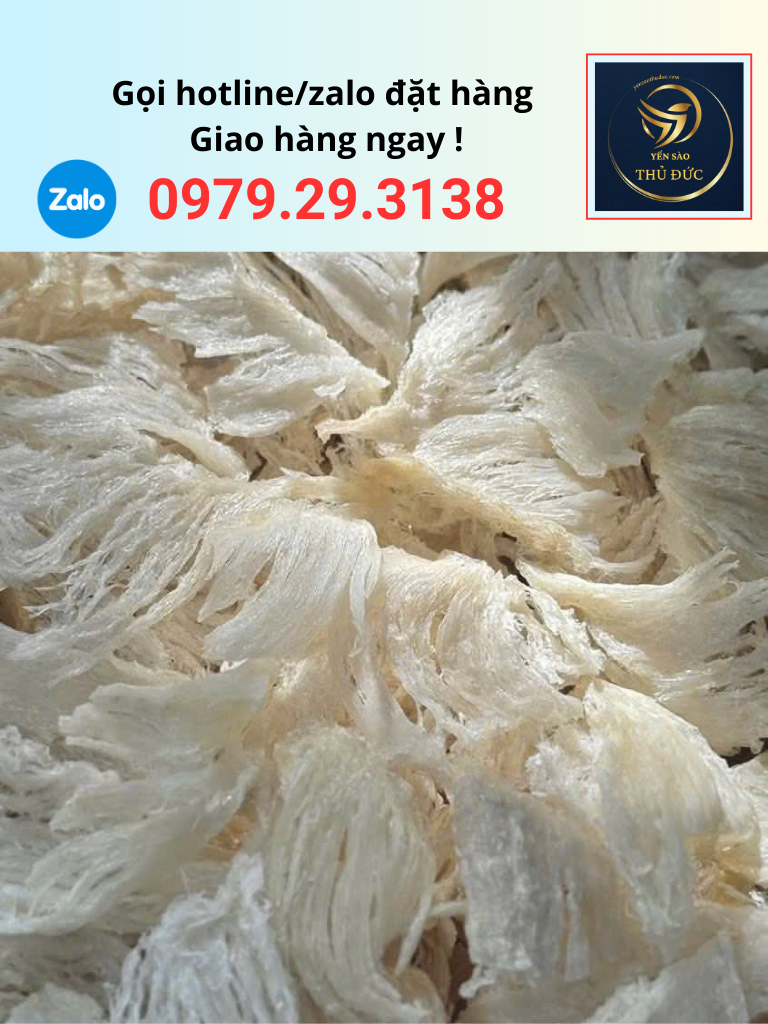 chan-yen-rut-long-chat-luong Chân yến rút lông chất lượng