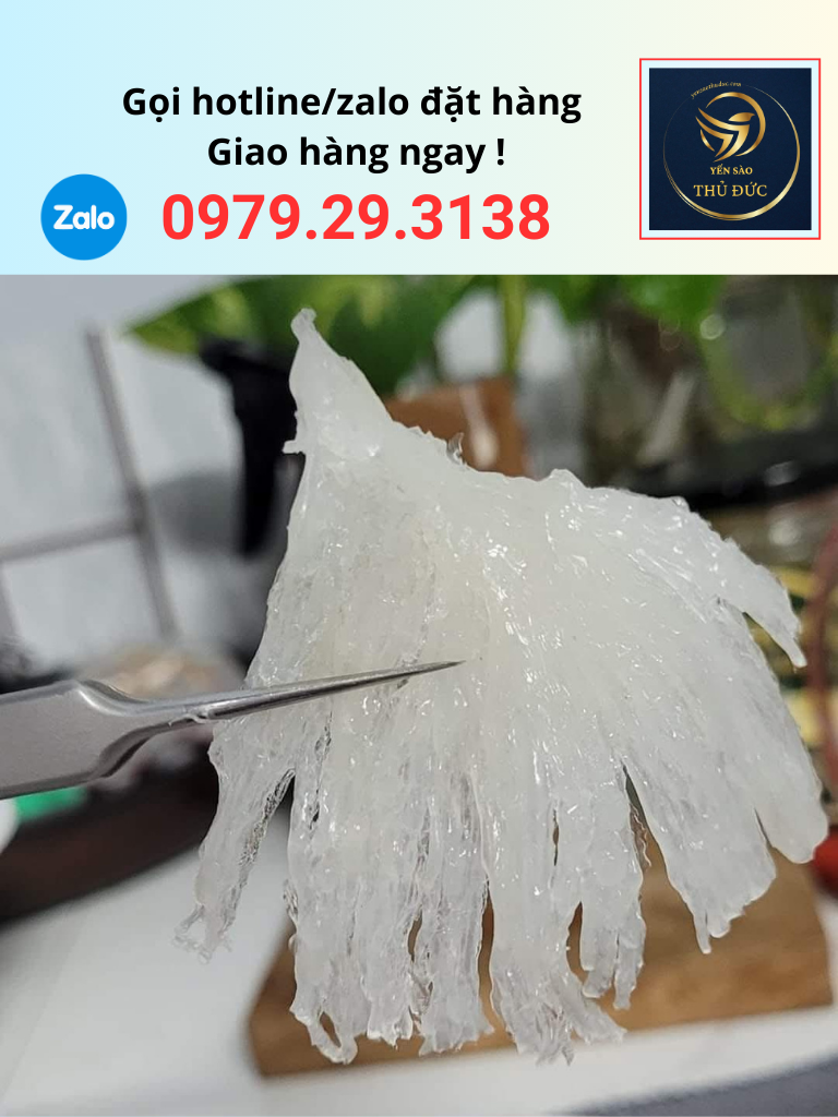 chan-yen-rut-long-yen-sao-thu-duc Chân yến rút lông yến sào Thủ Đức