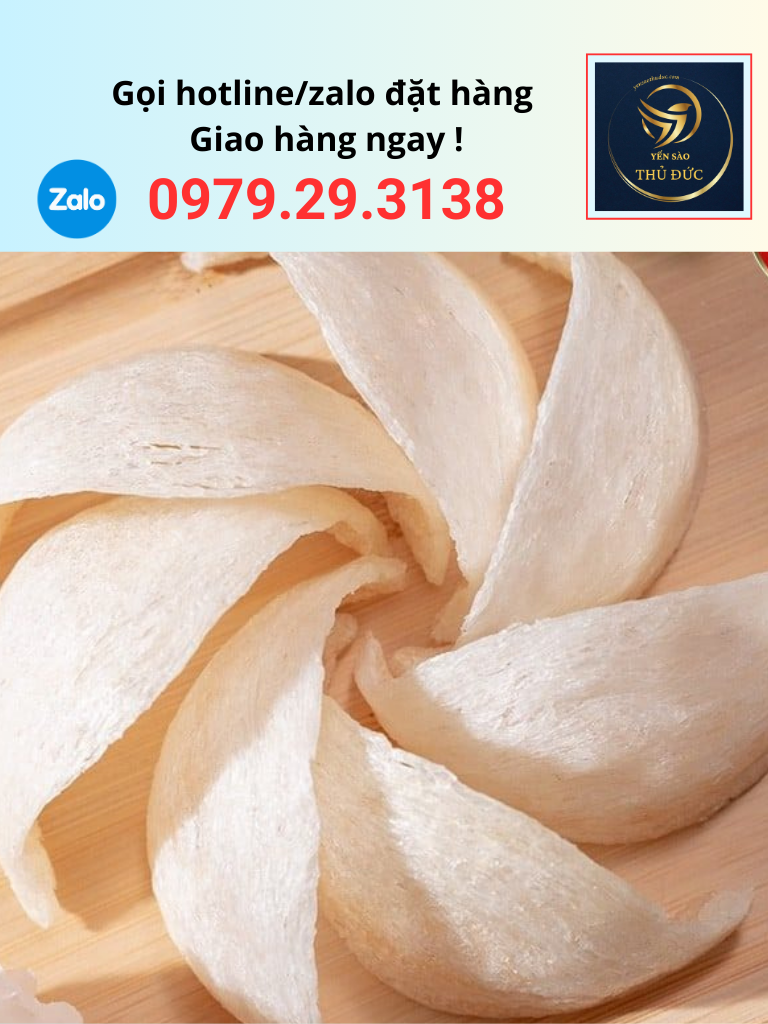 gia-to-yen-dinh-hinh-5a Giá tổ yến định hình 5A