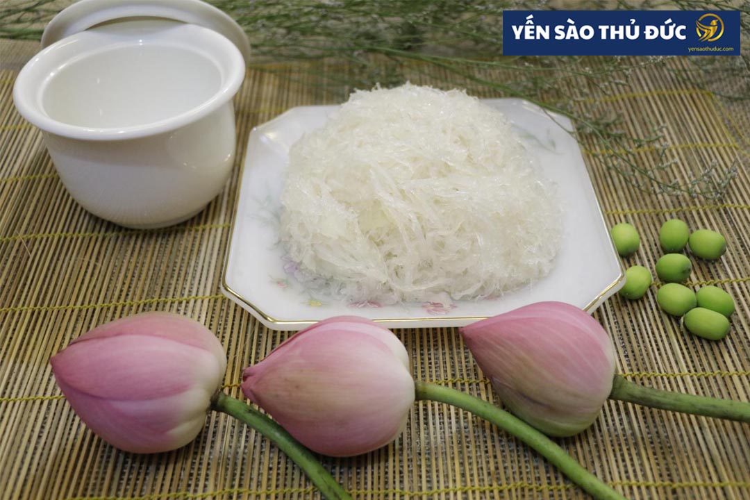 Giá tổ yến sào tươi bao nhiêu tiền?