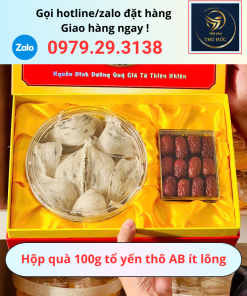 Set Bộ Hộp Quà 100g Tổ Yến Thô AB Ít Lông – Quà Biếu Cao Cấp, Giá Trị Sức Khỏe Bền Lâu
