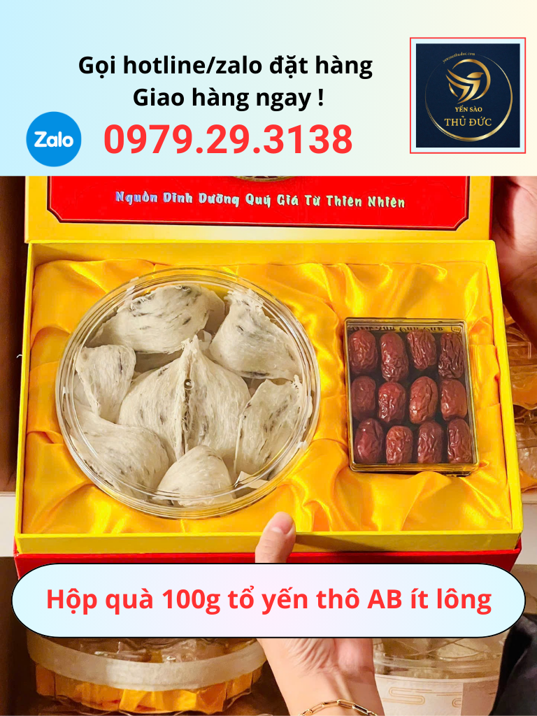 Set Bộ Hộp Quà 100g Tổ Yến Thô AB Ít Lông – Quà Biếu Cao Cấp, Giá Trị Sức Khỏe Bền Lâu