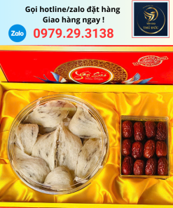 Hộp quà 100g tổ yến thô ít lông