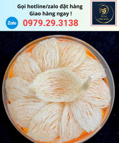 Hộp 100 gram yến rút lông loại 1